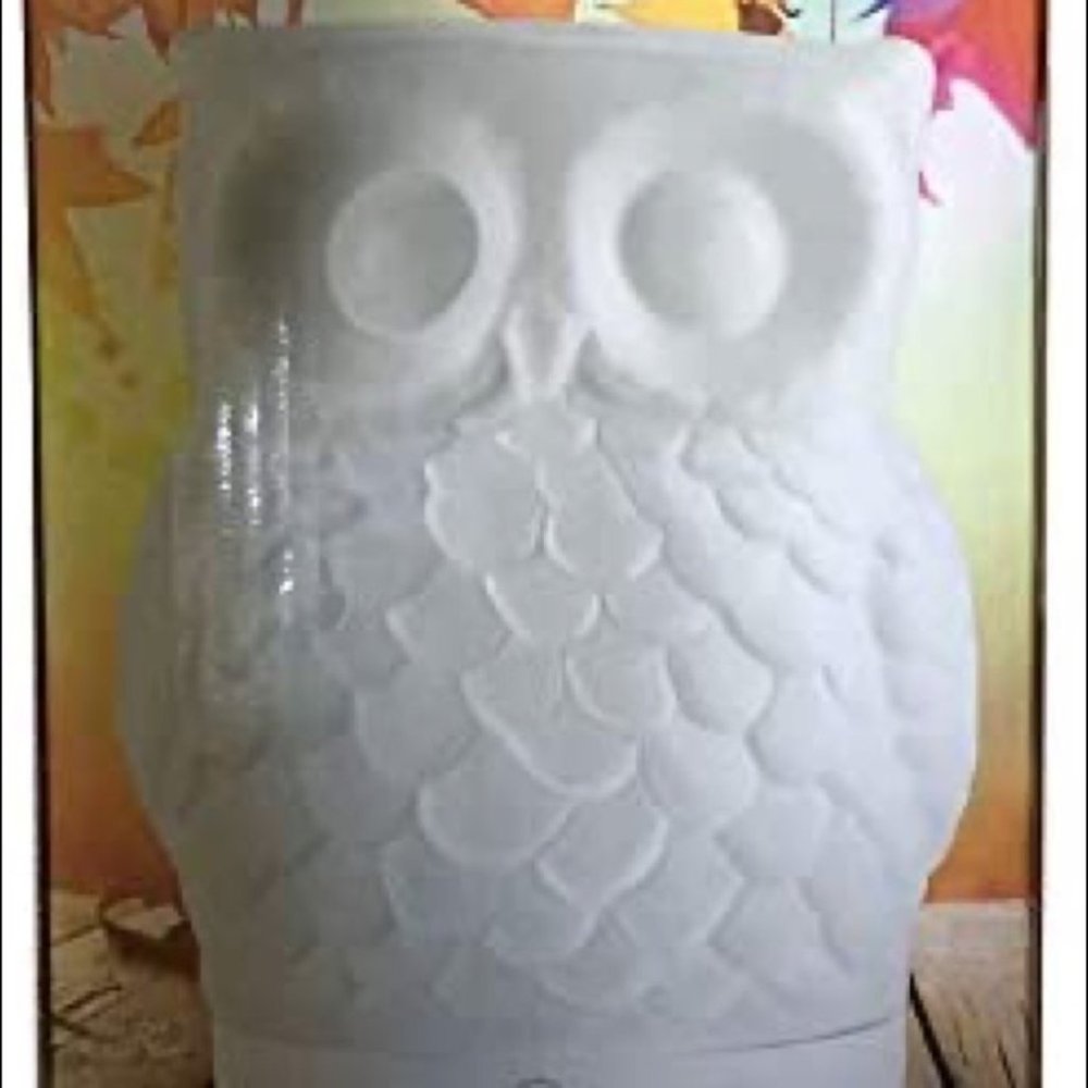 Mister Hoot Owl Essential Oil Diffuser - Picture 3 of 3